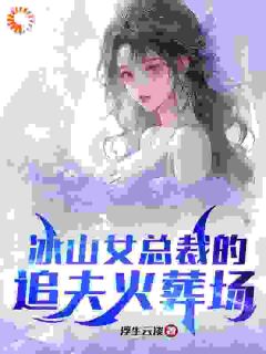 冰山女总裁的追夫火葬场