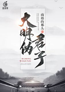 大明伪君子