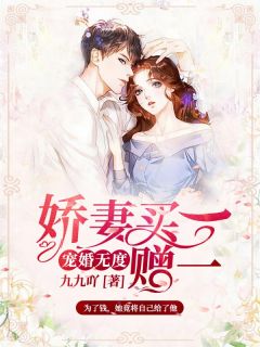 宠婚无度 ：娇妻买一赠一