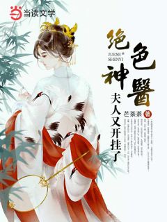 绝色神医：夫人又开挂了