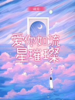 爱你如流星璀璨