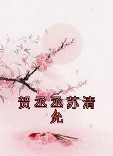 贺丞丞苏清允