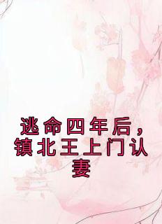 逃命四年后，镇北王上门认妻