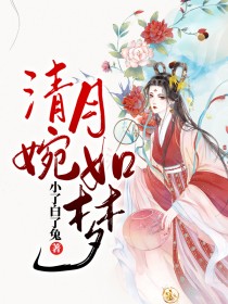 清婉月如梦