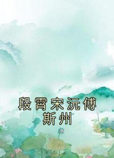 段霄宋沅傅斯州