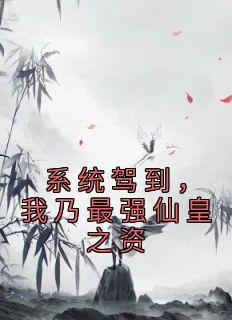 系统驾到，我乃最强仙皇之资