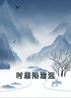 时恙陆渝远